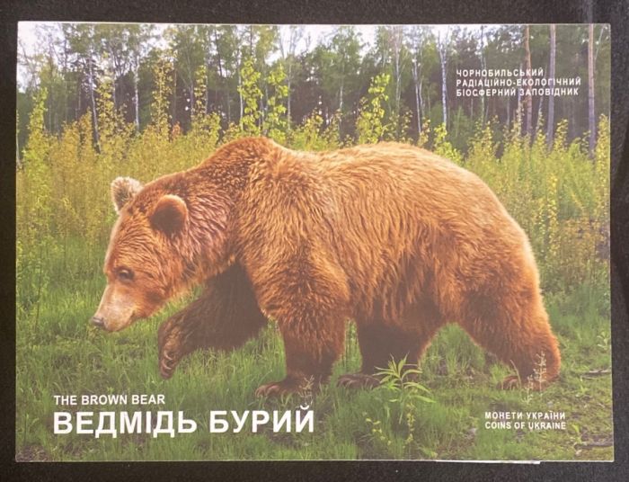 Чорнобиль. Відродження. Ведмідь бурий у сувенірній упаковці 5 гривень 2022. Медведь