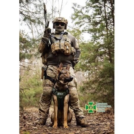 Поштовий набір «Слава Силам оборони і безпеки України! Гвардія наступу»